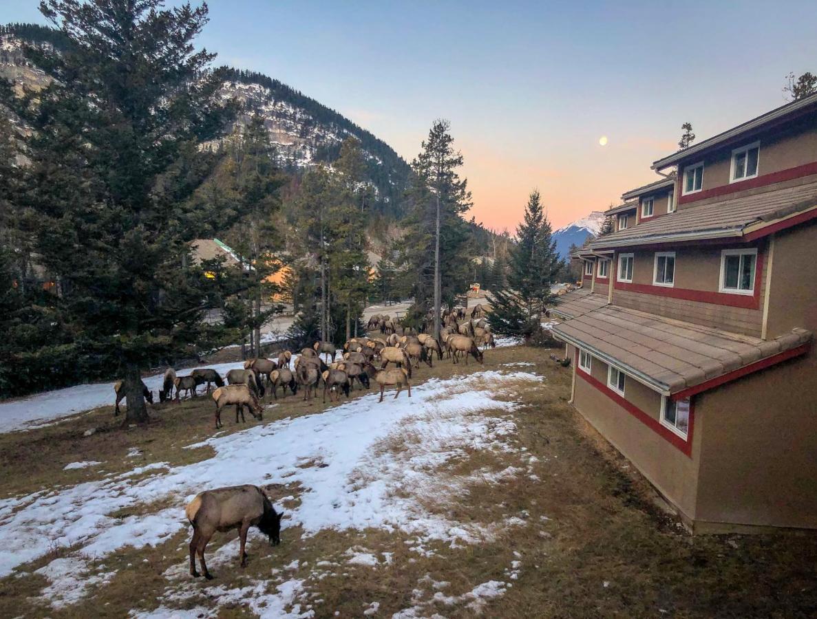 Hi Banff Alpine Centre - Hostel Esterno foto